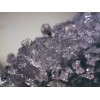 Микроскоп стереоскопический Bresser Erudit ICD 20x/40x модель 74313 от Bresser