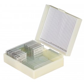 Набор микропрепаратов Konus 25: «Клетки и ткани животных» модель 77064 от Konus